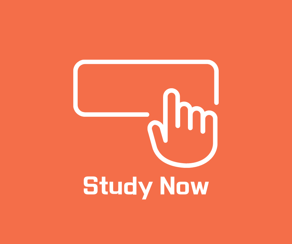 My Korean School Join Us Now - Study Now Button
