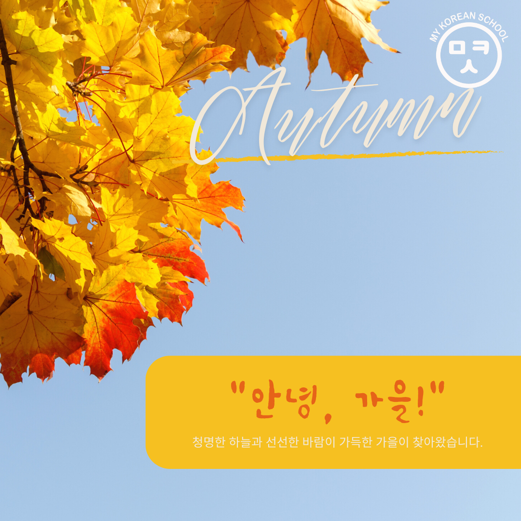🍁 What to Do in Korea During Autumn – Learn Korean Through Seasonal Activities