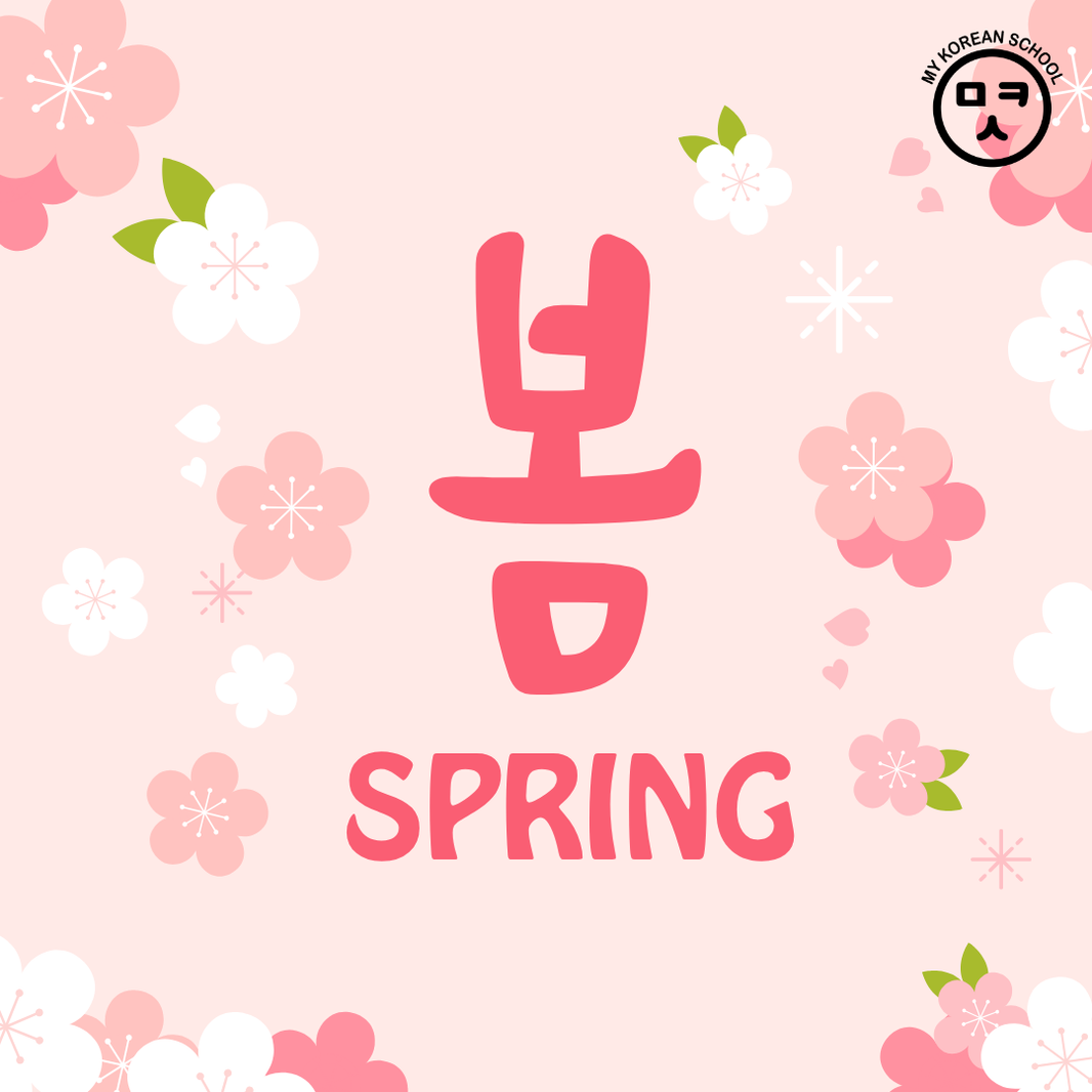 Cherry Blossom Season in Korea – Spring Travel & Useful Korean