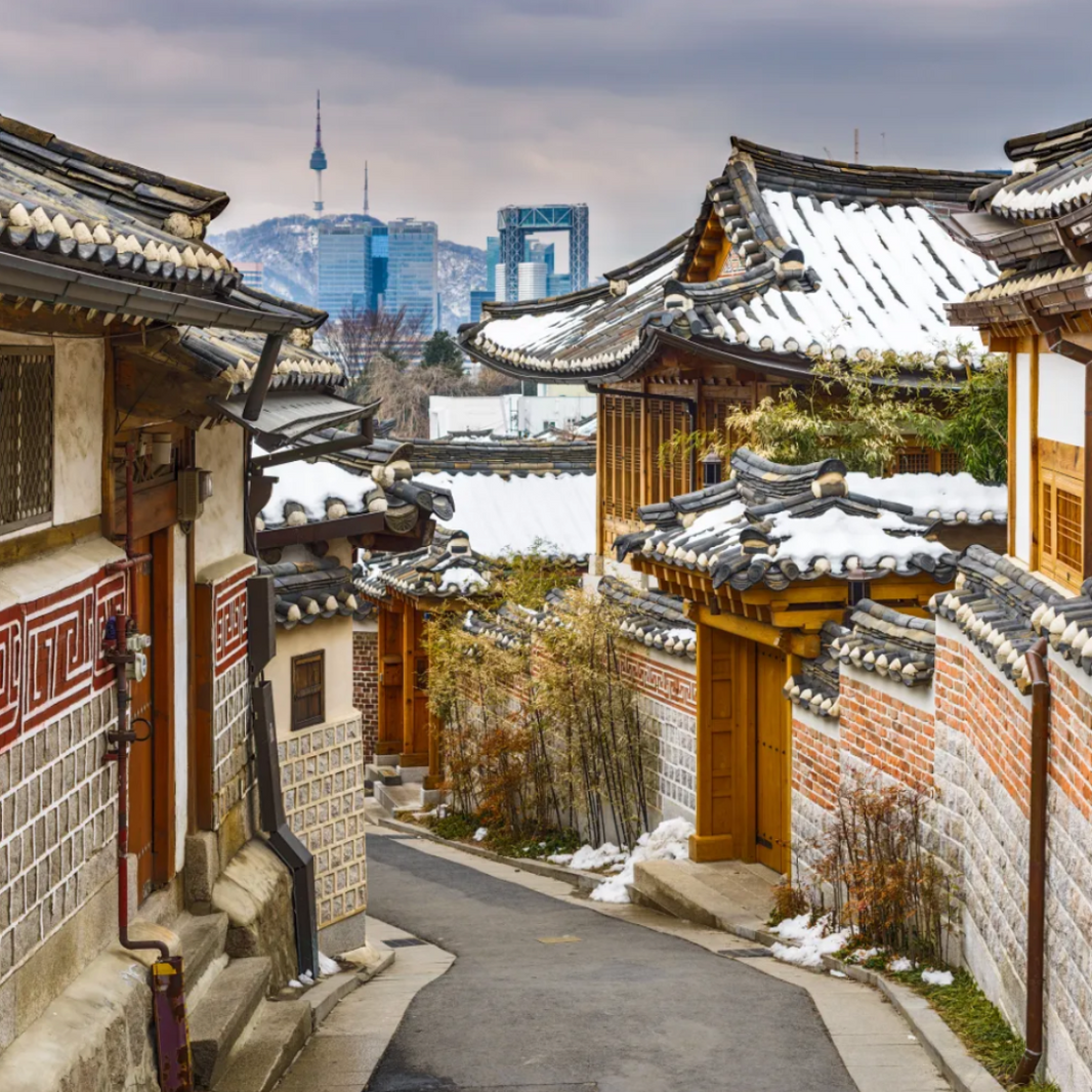 Winter Wonders in Korea: 5 Cozy Delights to Savor This Season! ❄️